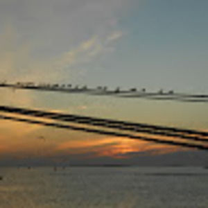 Meet your Posher, Cristina